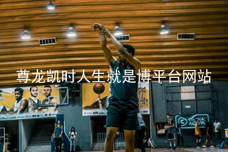 尊龙凯时人生就是博平台网站